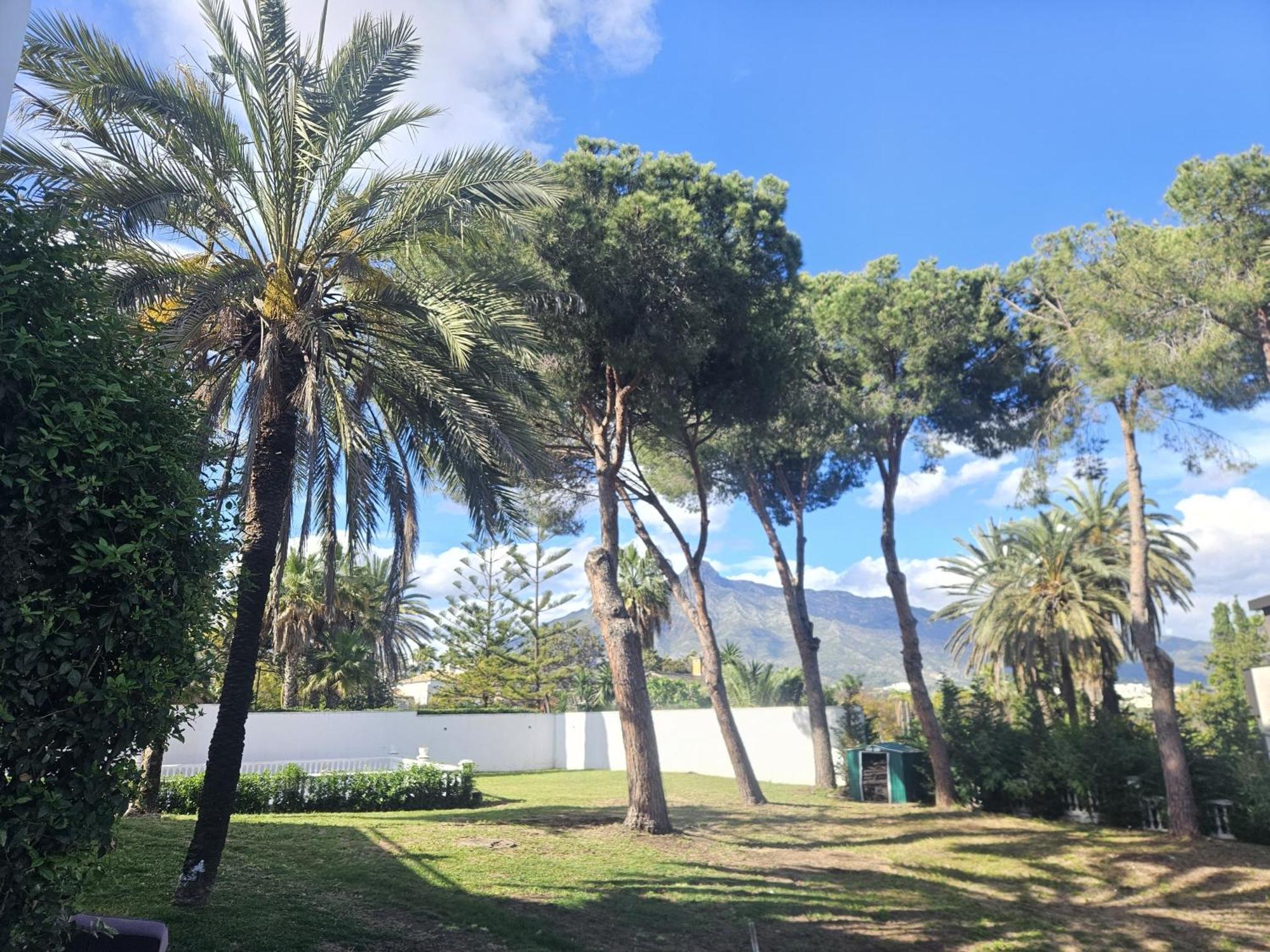 Wisma tamu Palacio Marbella